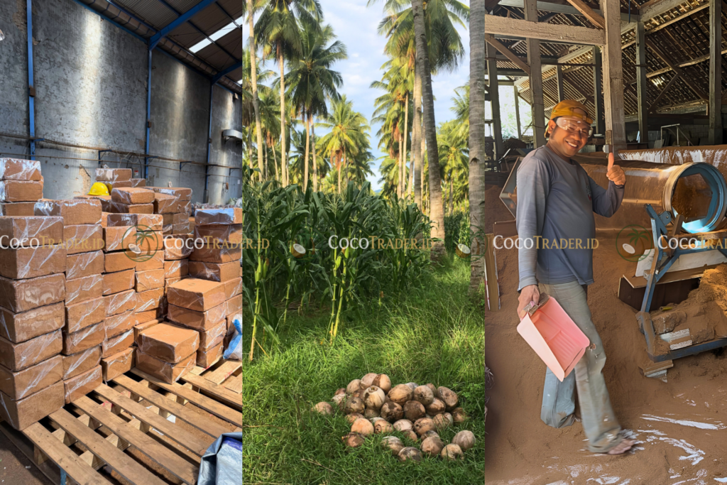 CocoTrader.ID